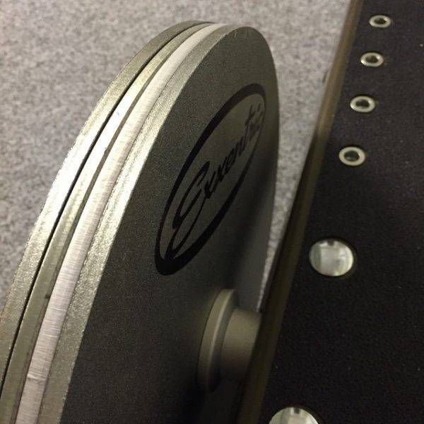 Inertia in Flywheel Training Exxentric