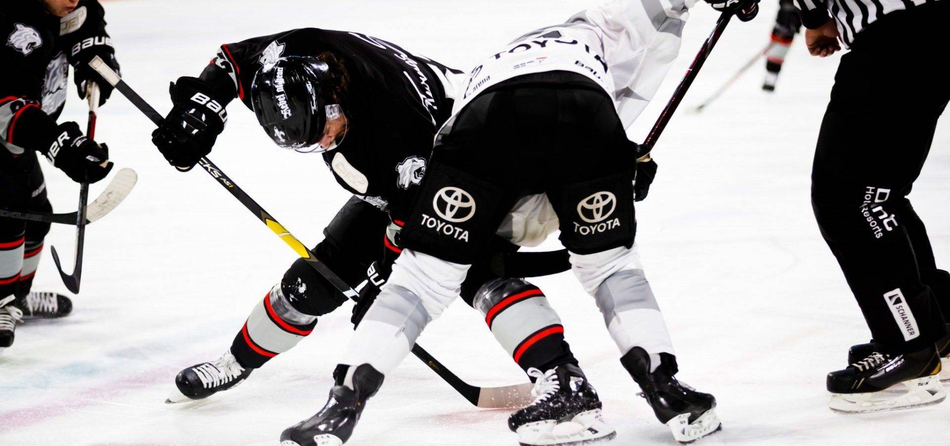 Ice Hockey Flywheel Training