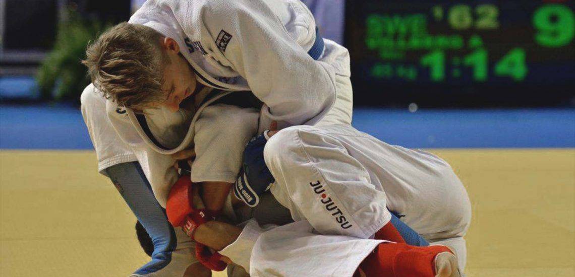 Martial Arts Exxentric Flywheel Training