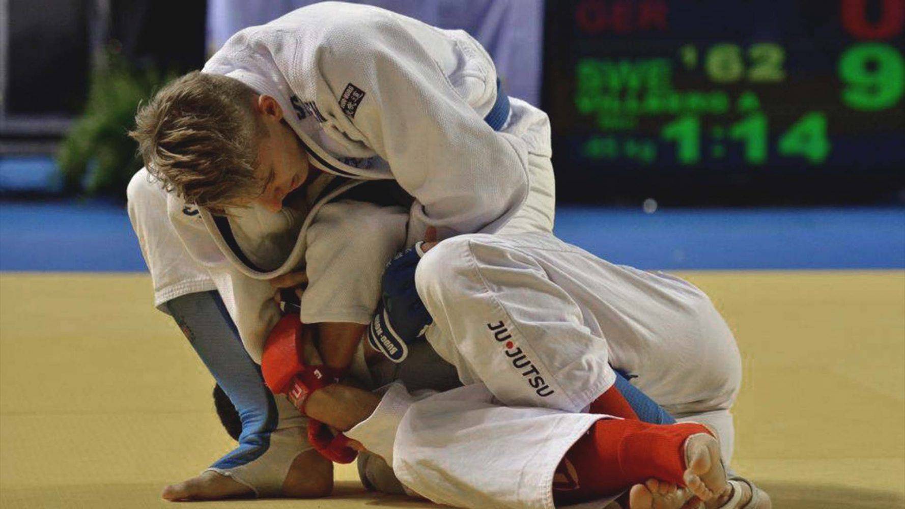Martial Arts Exxentric Flywheel Training