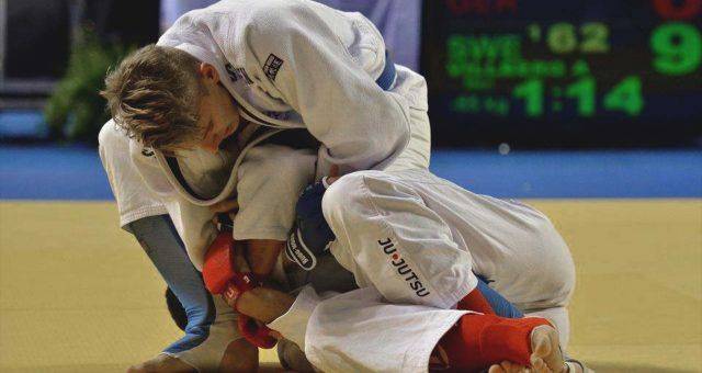 Martial Arts Exxentric Flywheel Training