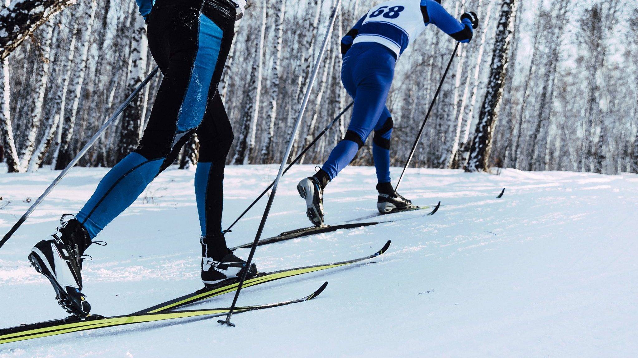 Flywheel Training Cross Country skiing