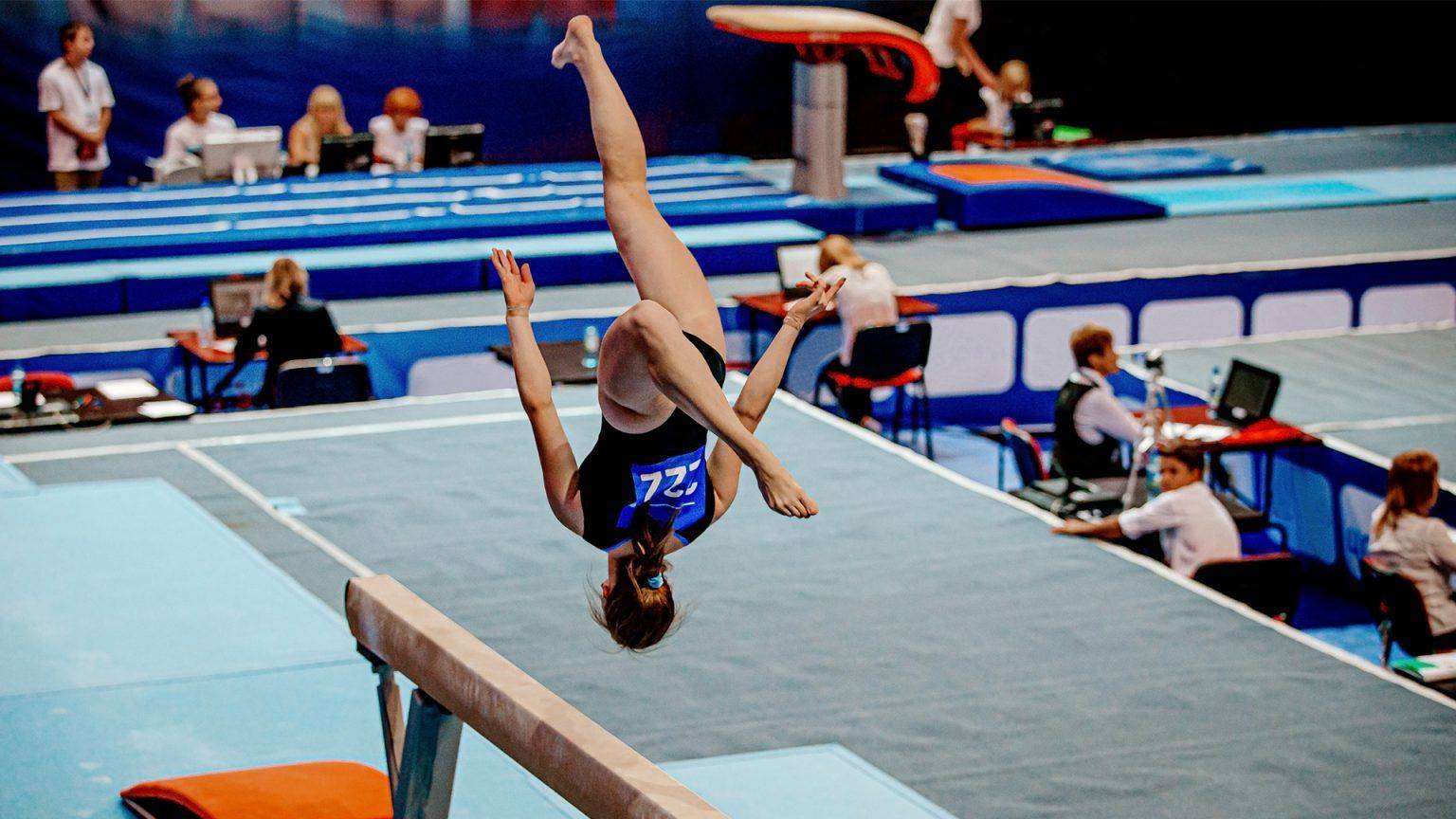 Gymnastics Exxentric Flywheel Training