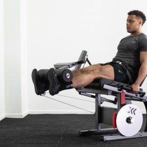 LegExx Regular Leg Extension