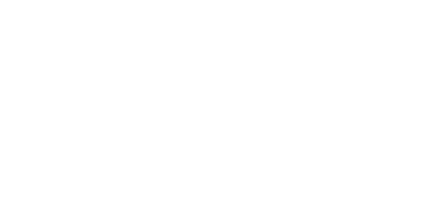 Flex logo